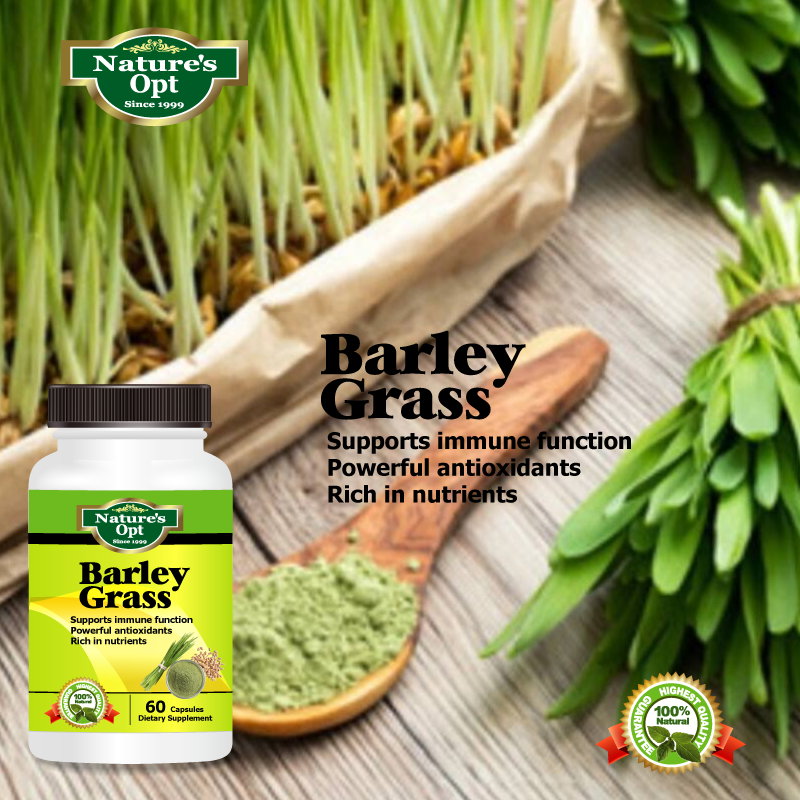 Barley Grass Extract