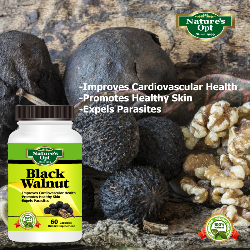 Black Walnut