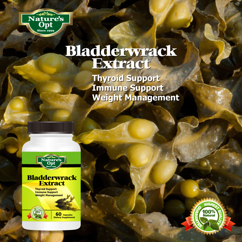 Bladderwrack Extract