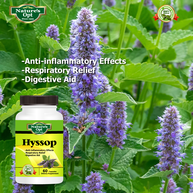 Hyssop