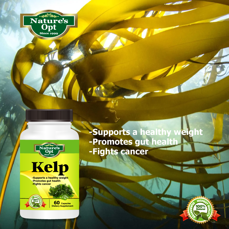 Kelp