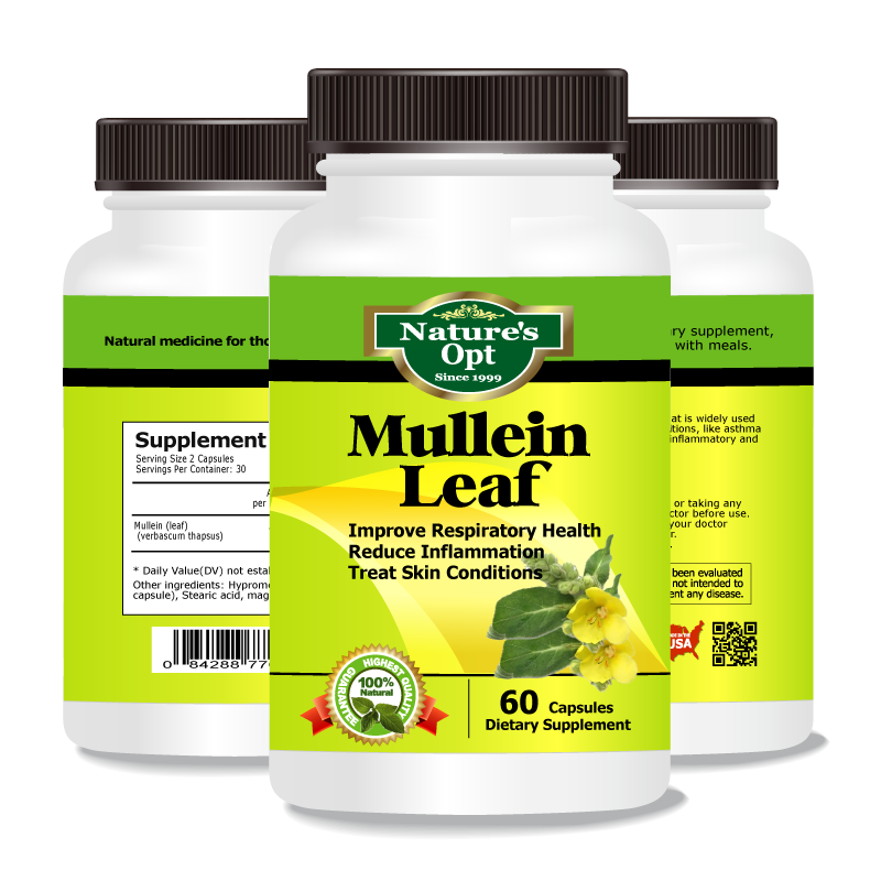 Mullein Leaf